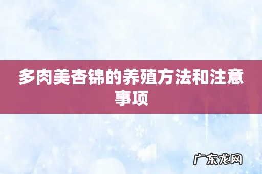 多肉美杏锦的养殖方法和注意事项