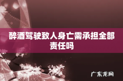 醉酒驾驶致人身亡需承担全部责任吗