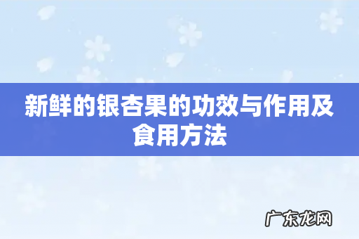 新鲜的银杏果的功效与作用及食用方法
