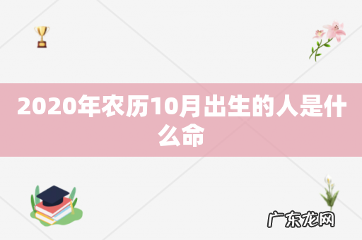 2020年农历10月出生的人是什么命