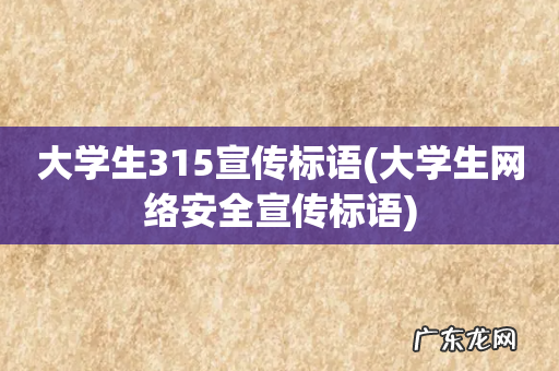 大学生网络安全宣传标语 大学生315宣传标语