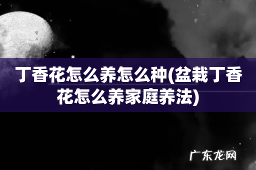 盆栽丁香花怎么养家庭养法 丁香花怎么养怎么种