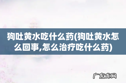 狗吐黄水怎么回事,怎么治疗吃什么药 狗吐黄水吃什么药