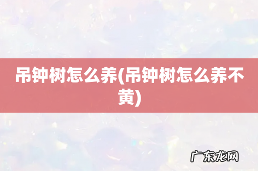 吊钟树怎么养不黄 吊钟树怎么养