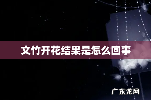 文竹开花结果是怎么回事