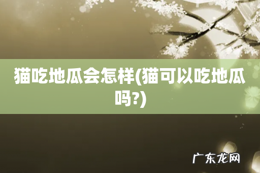 猫可以吃地瓜吗? 猫吃地瓜会怎样