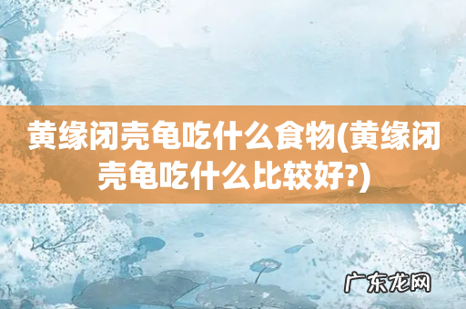 黄缘闭壳龟吃什么比较好? 黄缘闭壳龟吃什么食物