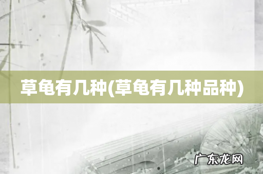 草龟有几种品种 草龟有几种