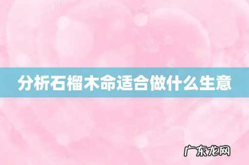 分析石榴木命适合做什么生意