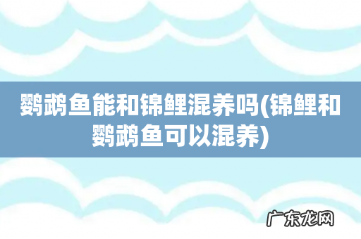 锦鲤和鹦鹉鱼可以混养 鹦鹉鱼能和锦鲤混养吗