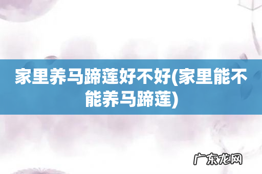 家里能不能养马蹄莲 家里养马蹄莲好不好