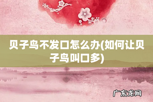 如何让贝子鸟叫口多 贝子鸟不发口怎么办