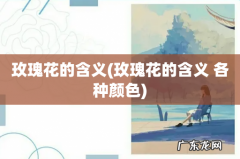 玫瑰花的含义 各种颜色 玫瑰花的含义