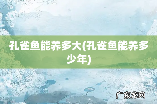 孔雀鱼能养多少年 孔雀鱼能养多大