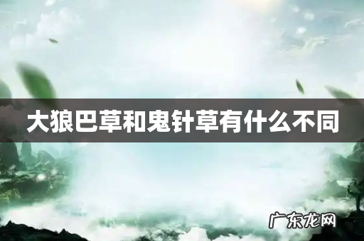 大狼巴草和鬼针草有什么不同