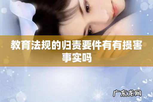 教育法规的归责要件有有损害事实吗