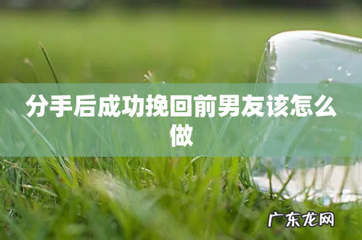 分手后成功挽回前男友该怎么做