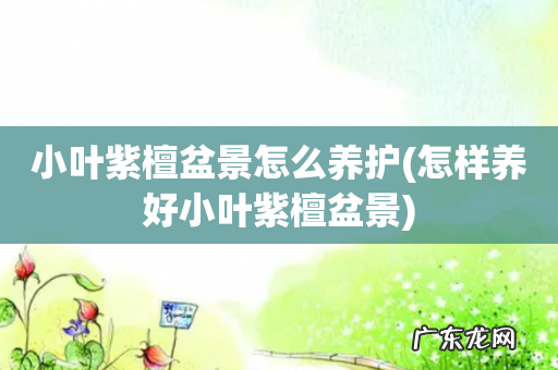 怎样养好小叶紫檀盆景 小叶紫檀盆景怎么养护