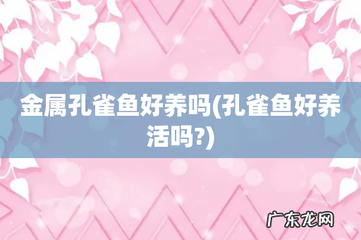 孔雀鱼好养活吗? 金属孔雀鱼好养吗