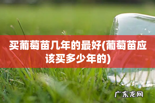 葡萄苗应该买多少年的 买葡萄苗几年的最好