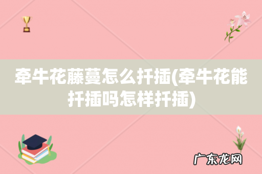 牵牛花能扦插吗怎样扦插 牵牛花藤蔓怎么扦插