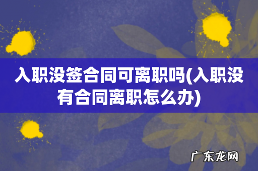 入职没有合同离职怎么办 入职没签合同可离职吗