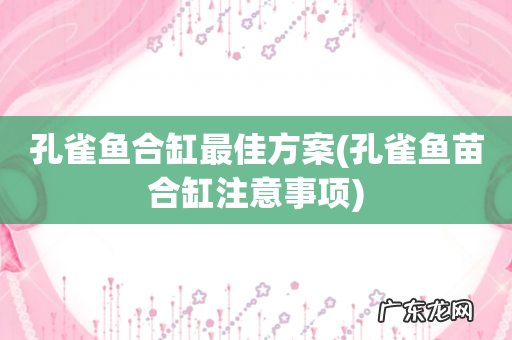 孔雀鱼苗合缸注意事项 孔雀鱼合缸最佳方案