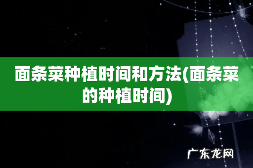 面条菜的种植时间 面条菜种植时间和方法
