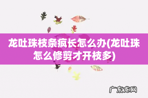 龙吐珠怎么修剪才开枝多 龙吐珠枝条疯长怎么办