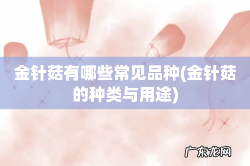 金针菇的种类与用途 金针菇有哪些常见品种