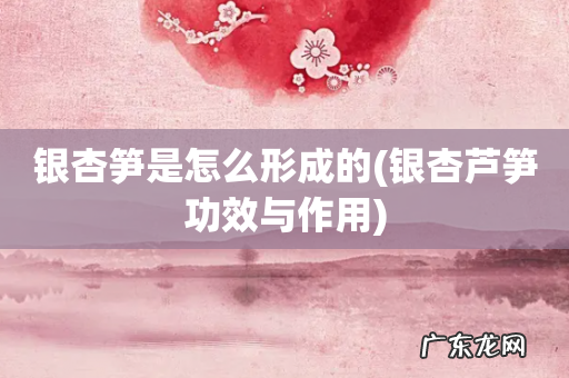 银杏芦笋功效与作用 银杏笋是怎么形成的