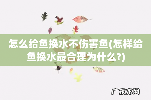 怎样给鱼换水最合理为什么? 怎么给鱼换水不伤害鱼