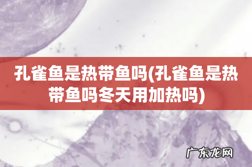 孔雀鱼是热带鱼吗冬天用加热吗 孔雀鱼是热带鱼吗