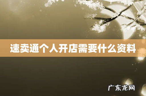 速卖通个人开店需要什么资料