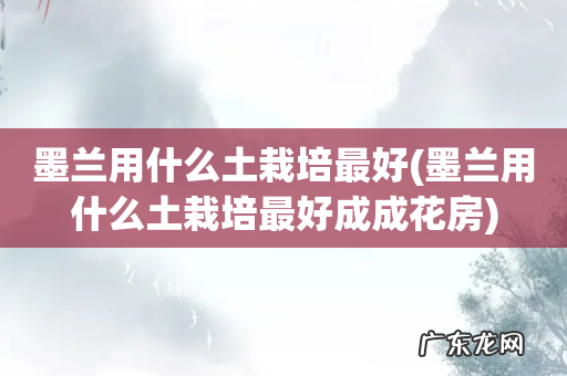 墨兰用什么土栽培最好成成花房 墨兰用什么土栽培最好