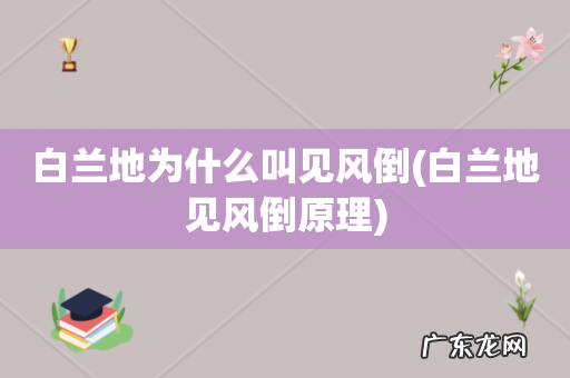 白兰地见风倒原理 白兰地为什么叫见风倒