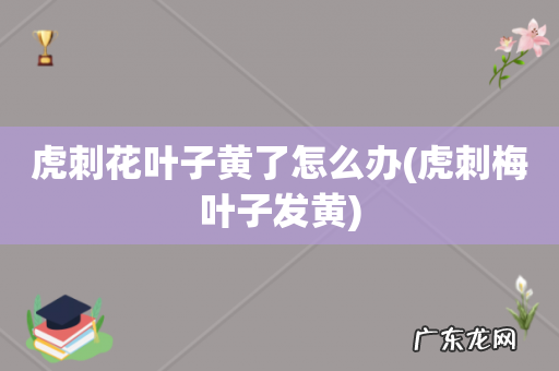 虎刺梅叶子发黄 虎刺花叶子黄了怎么办