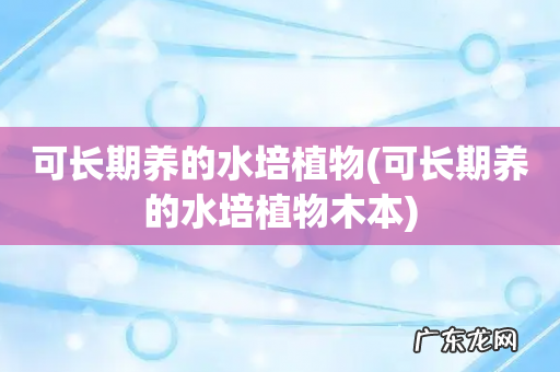 可长期养的水培植物木本 可长期养的水培植物