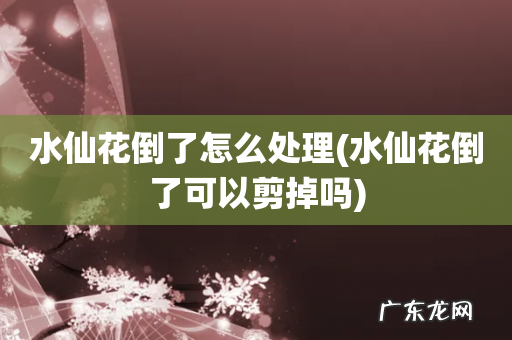 水仙花倒了可以剪掉吗 水仙花倒了怎么处理