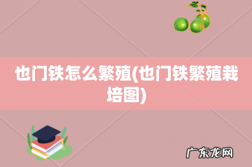 也门铁繁殖栽培图 也门铁怎么繁殖