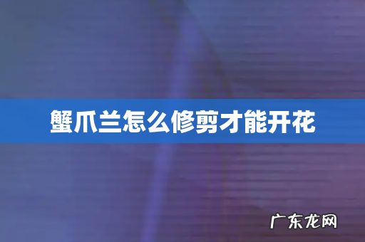 蟹爪兰怎么修剪才能开花