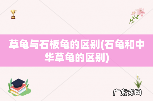 石龟和中华草龟的区别 草龟与石板龟的区别