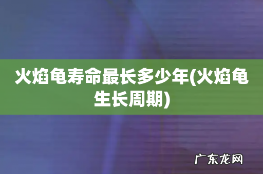 火焰龟生长周期 火焰龟寿命最长多少年