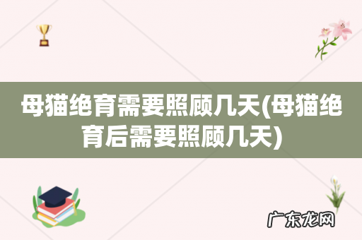 母猫绝育后需要照顾几天 母猫绝育需要照顾几天
