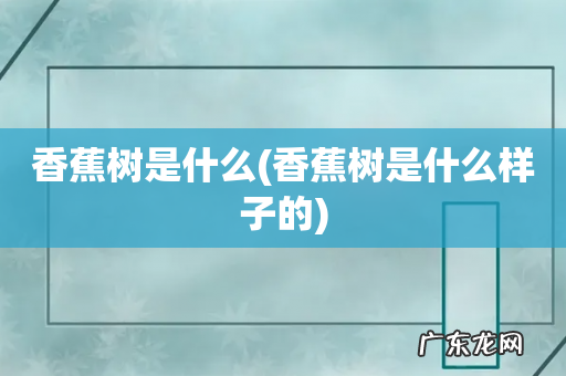 香蕉树是什么样子的 香蕉树是什么