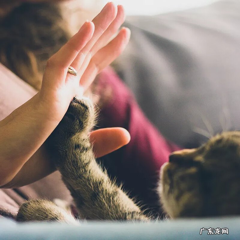 婴儿脸上突然起小红点 1个月婴儿脸上起小红点