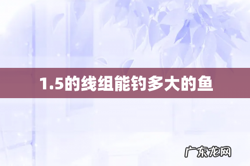 1.5的线组能钓多大的鱼