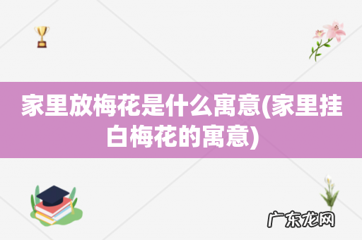 家里挂白梅花的寓意 家里放梅花是什么寓意