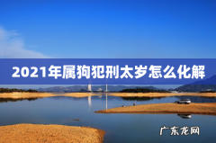 2021年属狗犯刑太岁怎么化解