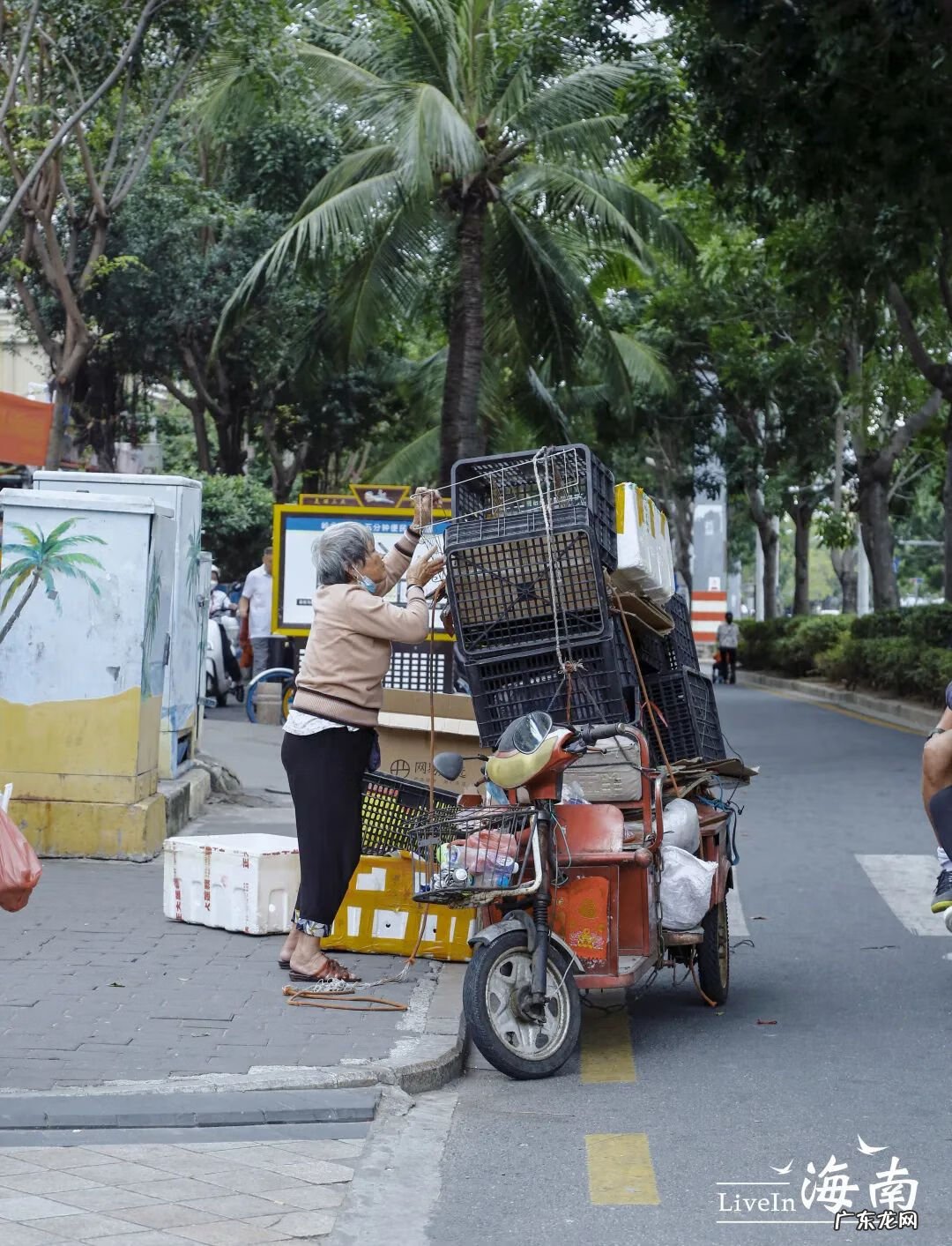 海南金鸡岭风水宝地 海南风水宝地金鸡岭周家